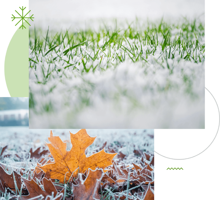 winter rasenpflege laub schnee rasenschneiden kalt